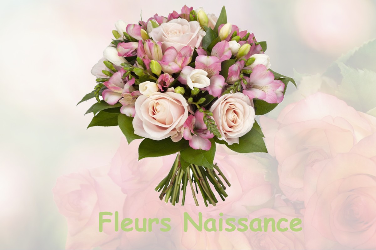 fleurs naissance PIERREFITTE-SUR-AIRE