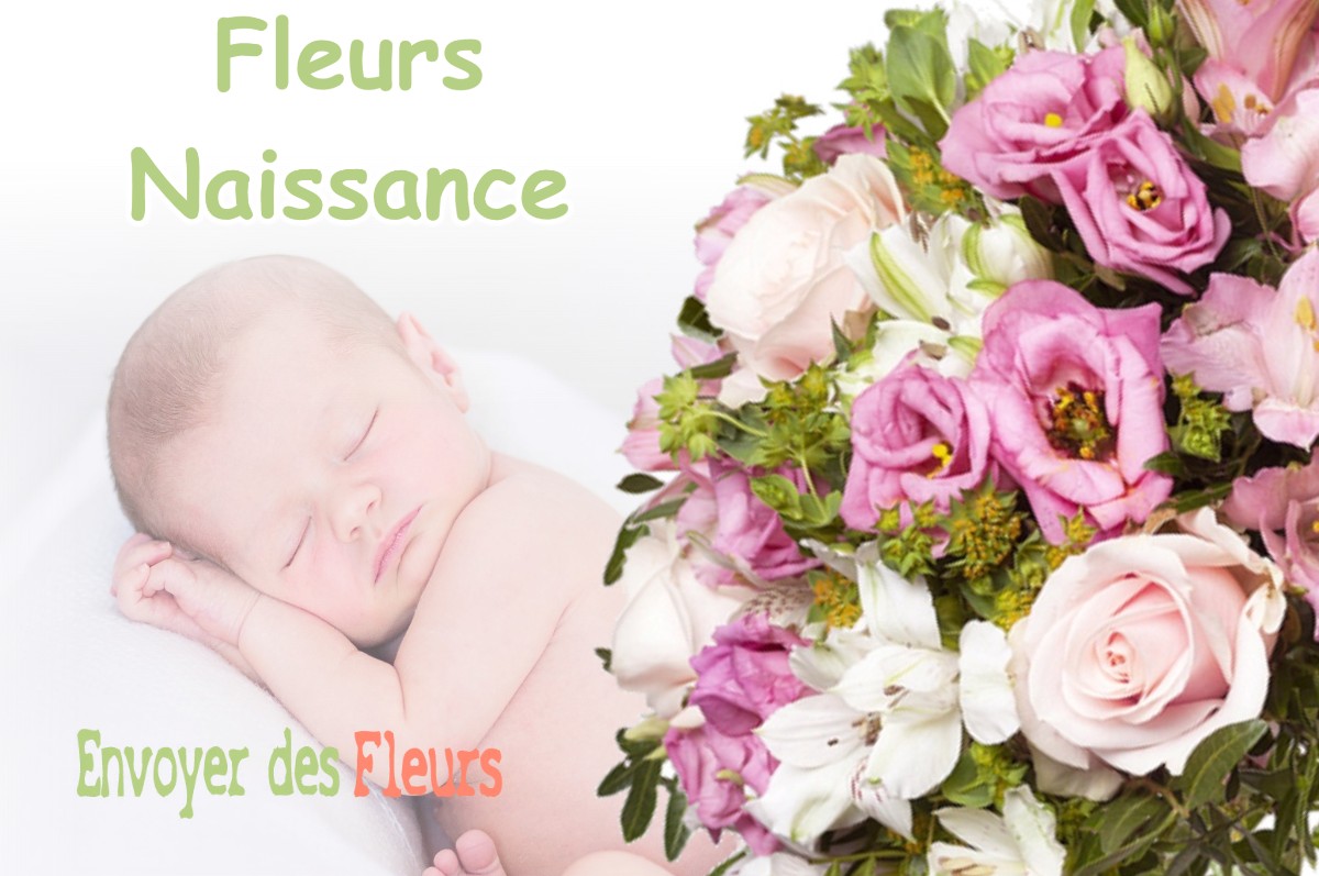 lIVRAISON FLEURS NAISSANCE à PIERREFITTE-SUR-AIRE